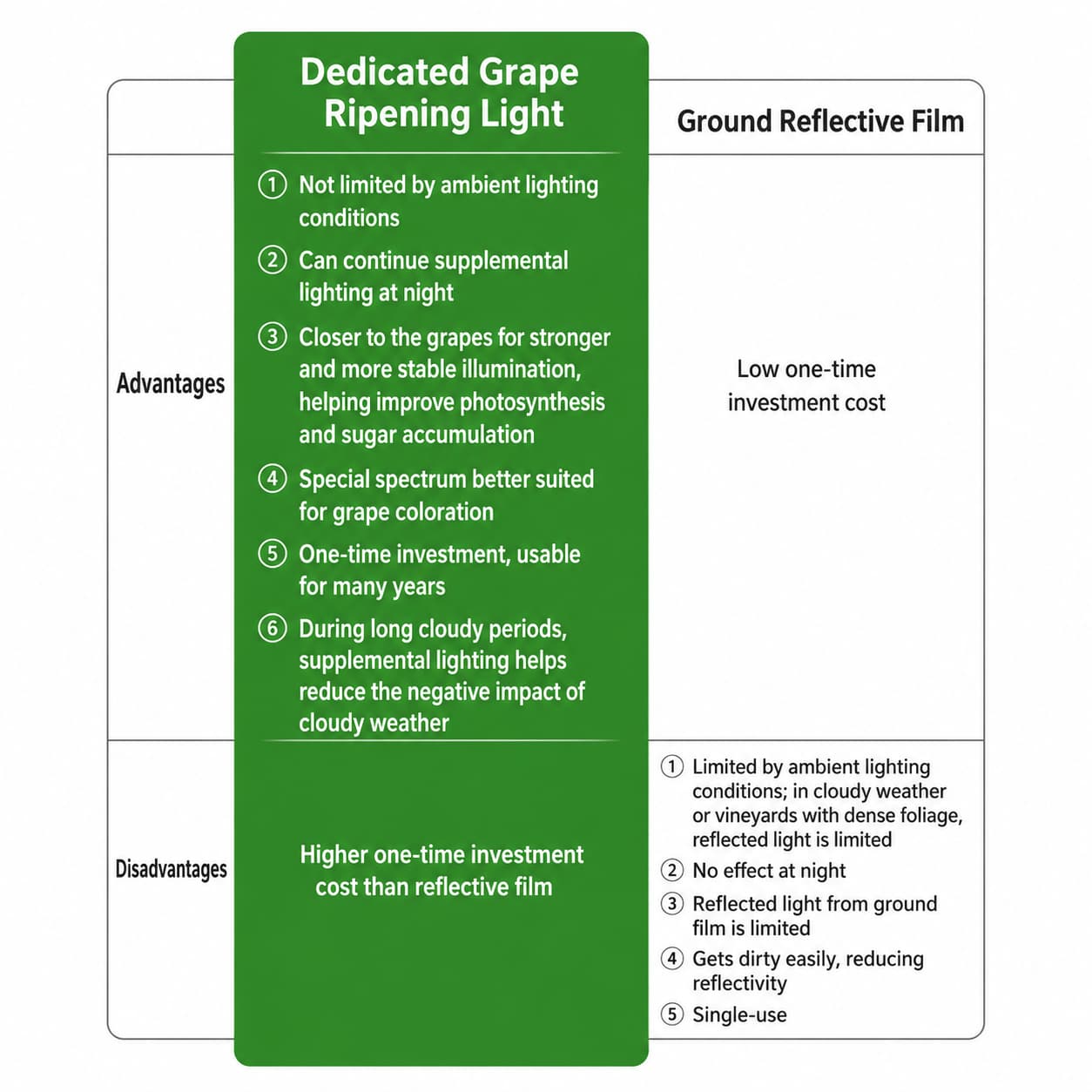Grape Coloring Light for Anthocyanin Synthesis
