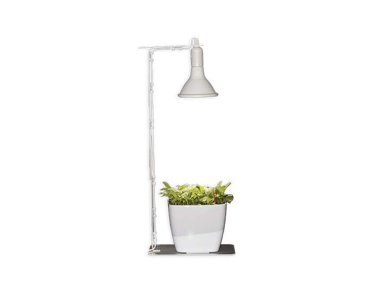 Full spectrum plant light